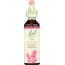 BACH ORIGINAL FLOWER REMEDIES: Pine, 0.7 oz
