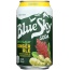 BLUE SKY: Zero Sugar Soda Ginger Ale 6-12oz, 72 oz