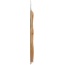 WOOBAMBOO: Standard Handle Soft Bristle Toothbrush, 1 ea